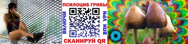 Галлюциногенные грибы Psilocybine cubensis  Купить закладки  Облучье 